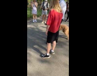 Dog barks at robodog walking at park