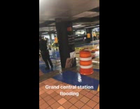 Grand Central Station leaks water from the roof and starts flooding