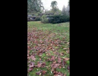 Girl shoots arrow and hits glass window