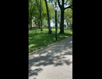 Collab winy - Guy grey shirt hug tree park