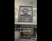 Edited photo of yoda in photo frame at goodwill