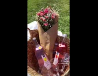 Girl has picnic with friends pink cake 