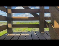 Person climb up on wooden tower forest