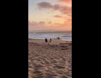 Woman pink bikini kneels beach sunset photo
