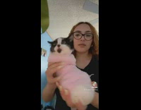 Woman with cat inside of pink  sock