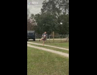 Guy walking kicks legs out to side 