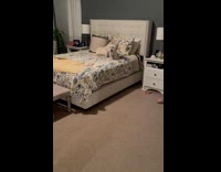 Dog playing chase toy hits the bed