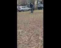Man in park uses metal detector over dead leaves