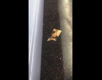 Porn picture clipping dropped on subway train floor