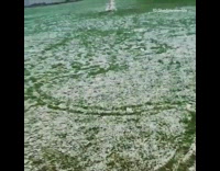 Dog barks at a small snowman on grass field