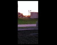 Bunny approaches but the other bunny jumps to dodge it