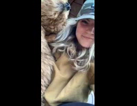 Brown puppy dog bites camouflage print hat 