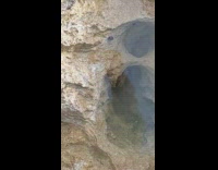 Crab on Camouflage Backs off inside Tunnel