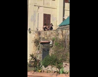 Girls do weird pose on rooftop 