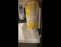 Collab Clips mpugc - Two cats on counter hiding next to toaster