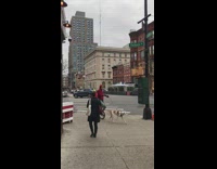 Man in Unicycle Walks Dog in Leash