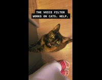 Collab BitchMP - Deep voice filter on cat meow