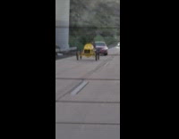 Yellow Vintage car rode on the highway