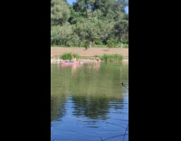 Woman in bikini lie down raise feet on the inflatable board