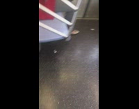 man sleeps cheezits on floor in front of him