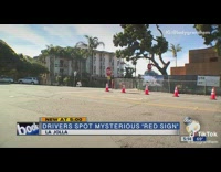 Collab FunBestVids - Girl news brian shlonksy stop sign 