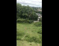 Nike shirt girl throws frisbee too far 