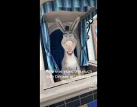 Collab BitchMP - Guy trying to get donkey to say chupapi munyanyo