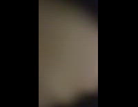 Striped cat grabs camera 