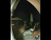 Dog Outside Press and Rings Door Bell