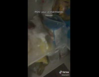 Person taking all the snacks out of pantry boxes and baskets