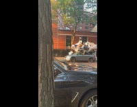 Collab winy - House items on top of the car