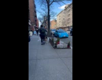 Collab WINY - Man with cat ride on pet dog