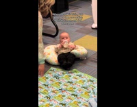 Collab Clips MPUGC - Baby cried seeing parents at day care 
