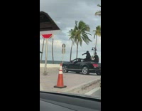 Men group convertible car Trees