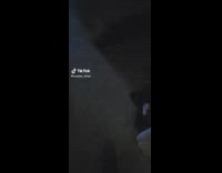 Collab BitchIG2 - Guy walks into room and black cat follows to mirror