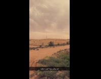Person ride white horse brown sky sand