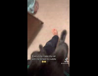 Guy drags cat to bed with him 