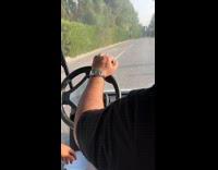 Man turns buggy and almost hit peacock