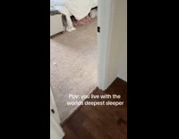 Woman sleeps through loud alarm 