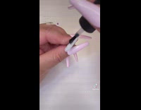 Dog gets fake nails from owner