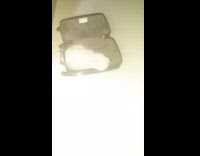 White cat lays inside open grey suitcase 
