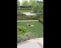 Woman balance on top of man workout video