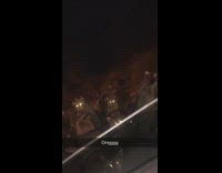 Collab Clips mpugc - Raccoons outside of bar bread