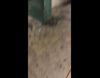Small snake found at subway train stop