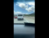 Bee on the outside of the car window on the road