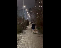 Collab Clips MPUGC - Dog circling on woman while they walk