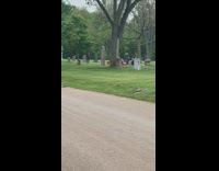 Two friends take photos at cemetery 