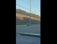 Collab winy - Green shirt guy climbs stone wall cemetery  