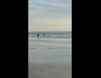 Guy pretends to surf for photoshoot beach 