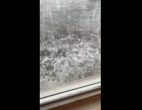 Heavy flood outside of window pot holds on